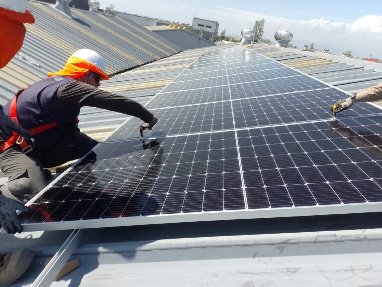 IMG_20231115_160750_995 (1)