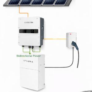 Kit Solar + Cargador de Vehiculo Smart ABB Terra AC 7Kw + Inv. Livoltek 8Kw Híbrido IP66 + 16Kwh Almacenamiento Bat. Litio Soluna IP65